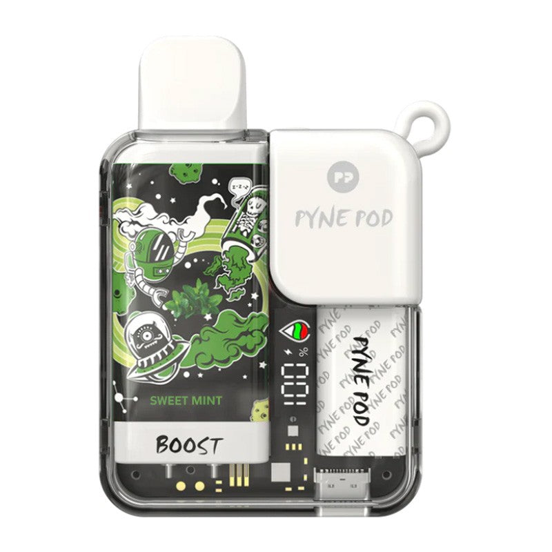 (10-PACK) Pyne Pod Boost 8500 Disposable Vape